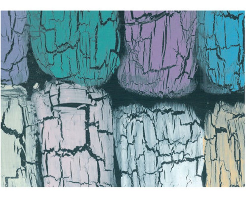 Krakelovací lak univerzální 50ml