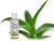 Aloe Vera gel 50ml