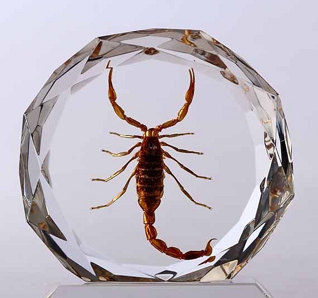 Zelený lešticí krém 50ml