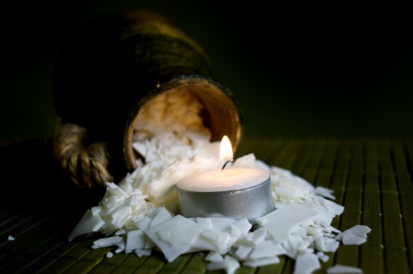 Palmový vosk - 25kg