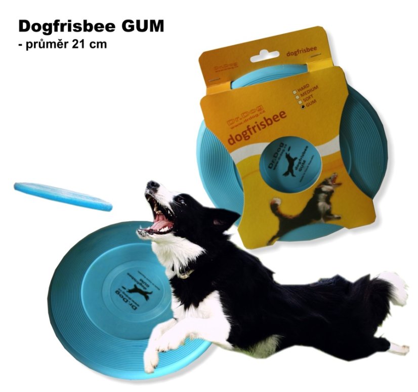 Dogfrisbee GUM