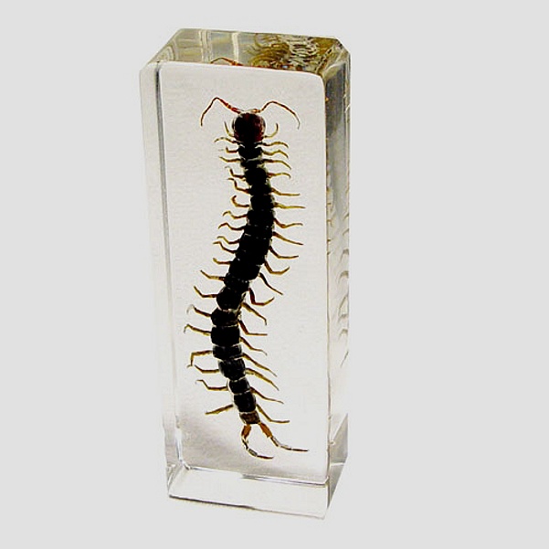 Forma obdélník 270ml