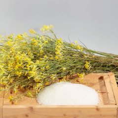 Řepkový ekovosk - písek 1kg