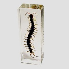 Forma obdélník 540ml